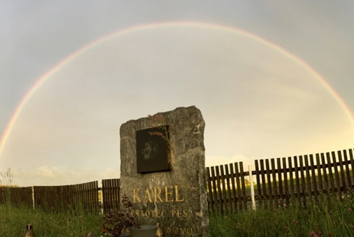 Karel praotec pes alias Von Bahnhof image 1