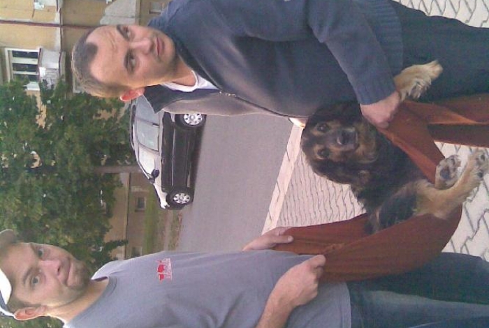 Karel praotec pes alias Von Bahnhof image 6